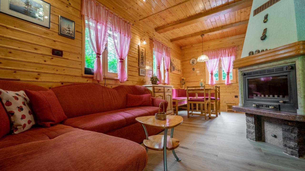 House Olga Domek alpejski *